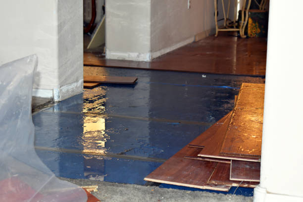 Professional Flood Cleanup technician working in Kirby, TX